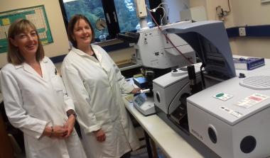 Fourier Transform Infrared Spectroscopy