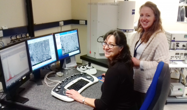 Scanning Electron Microscopy (SEM)