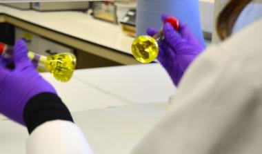 Mylnefield Lipid Analysis oils in laboratory
